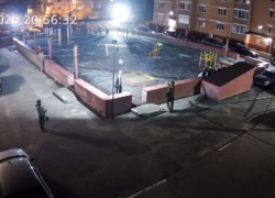 На детской площадке на западе Тамбова сотрудник отлова ранил собаку и подрался с подростком