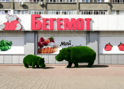 Россельхознадзор оштрафовал тамбовский "Бегемот" на 100 тысяч рублей