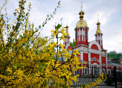 Чего ожидать в Тамбове от погоды на выходных?