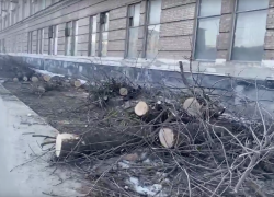 На Моршанском шоссе в Тамбове спилили все деревья