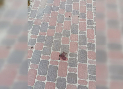 В Тамбове из окна выпал двухлетний ребёнок