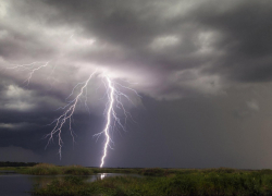 До конца рабочей недели в регионе будут грозы, град и сильный ветер