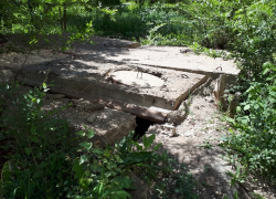 Люки во дворах как скрытая угроза. Активисты ОНФ провели рейд
