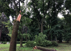 Депутат Артём Александров: гулять по парку усадьбы Асеевых в Тамбове небезопасно