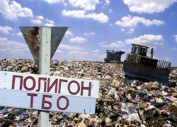 Неутомимая экология