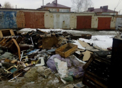 "В центре Тамбова нет проблем с мусором, посмотрите лучше на нас!"- возмущены жители села Донское 
