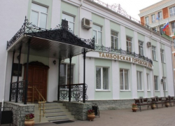 Текущая деятельность Тамбовской городской Думы приостановлена