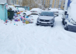 Снегопады и рост объемов мусора осложнили работу мусоровозов в Тамбовской области