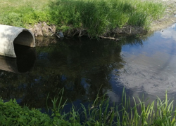 В Моршанске выявлено загрязнение Цны стоками местных тепловых сетей