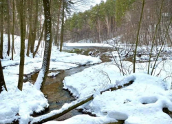 Погода в Тамбове на выходные: днём весна, ночью зима