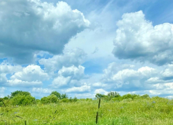 Тамбовчан ожидает жаркая рабочая неделя без дождей