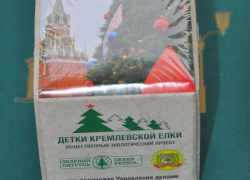 Тамбовская лицеистка привезла в область семена кремлевской ели
