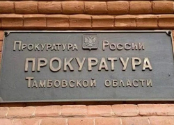 Заведующая детского сада в Тамбовском районе устроила воспитателем «мёртвую душу»