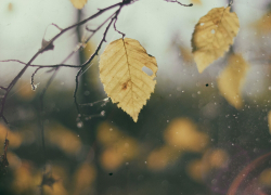 Погода на выходных: переменная облачность и похолодание 