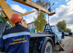 «Тамбовской сетевой компании» удалось снизить потери в электросетях на 17 миллионов рублей