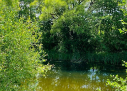 Предельно жаркая погода установится в Тамбове на этой рабочей неделе