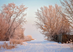 Погода на выходных: мороз и влажность, день чудесный