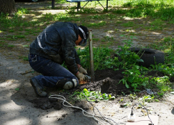 Двор на улице Астраханской освободили от незаконных блокираторов парковок