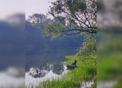 Погода в Тамбове в начале рабочей недели: прохладно и без дождей