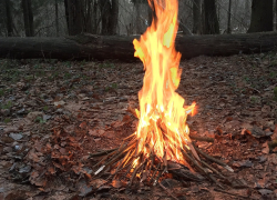 Тамбовчан за костры в лесах будут штрафовать на 15 тысяч рублей