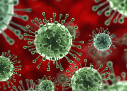 Число заболевших коронавирусом в регионе продолжает снижаться