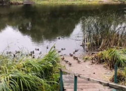 В водоёме Жердевского района обнаружили труп мужчины