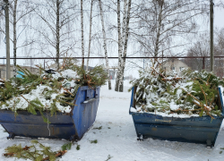 Выброшенные тамбовчанами новогодние ёлки «ТСК» утилизирует с пользой