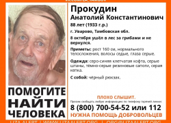 «Лиза Алерт» ищет двух пропавших в регионе грибников