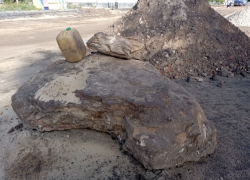 В Мичуринске при реконструкции Советской нашли валун ледникового происхождения кайнозойской эры