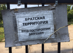 Лес в Тригуляе планируют отдать под застройку