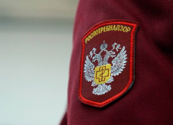 Роспотребнадзор оштрафовал тамбовчан, не сдавших ПЦР-тест после возвращения из отпуска