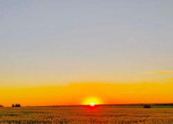 Прогноз погоды на три дня: жарко и без осадков