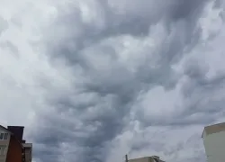 До конца рабочей недели в Тамбове будет облачно и ветрено