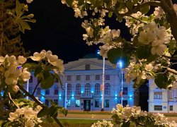 По итогам весны Тамбовская область заняла первое место в топе экологического рейтинга