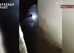 Жители дома на Киквидзе третью неделю задыхаются из-за разлива канализации в подвале