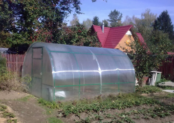 Тамбовчанам не нужно платить налог на теплицы