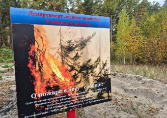 В Тамбовской области продлили действие особого противопожарного режима