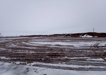 Прокуратура нашла серьёзные нарушения на Токарёвской птицефабрике