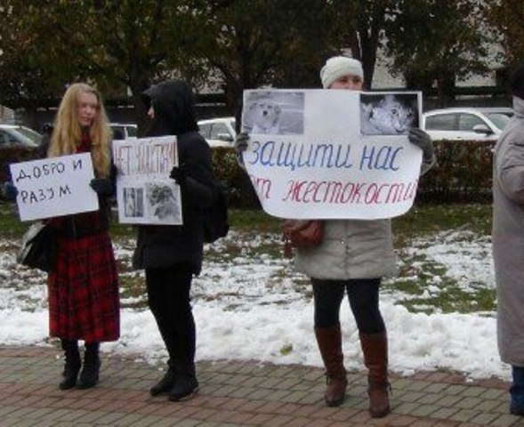 Тамбовские зоозащитники включились во всероссийскую акцию «Живодерам не место среди нас»