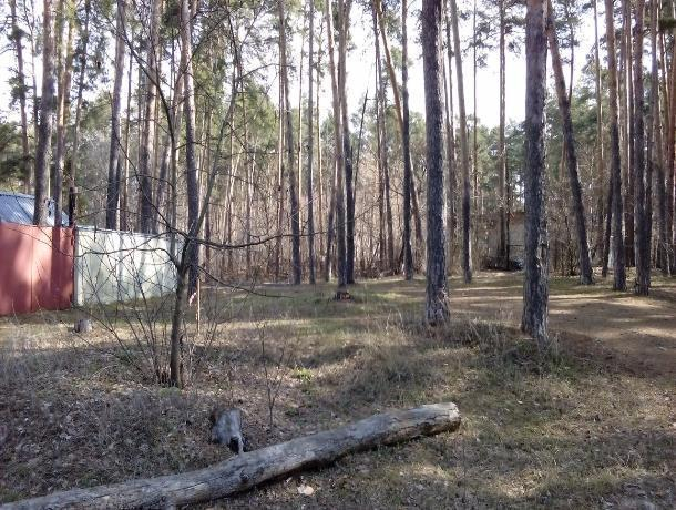 Немецкий миллиардер Райнер Брах начал строить виллу в Пригородном лесу
