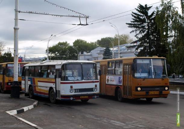 Тамбовские инспекторы дорожного движения решили провести операцию «Автобус»