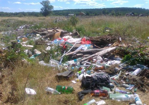 Свалка мусора в Знаменском районе будет ликвидирована по решению суда