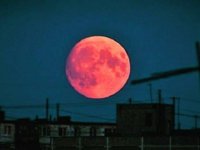 Тамбовчане увидели самую большую луну за последние 70 лет