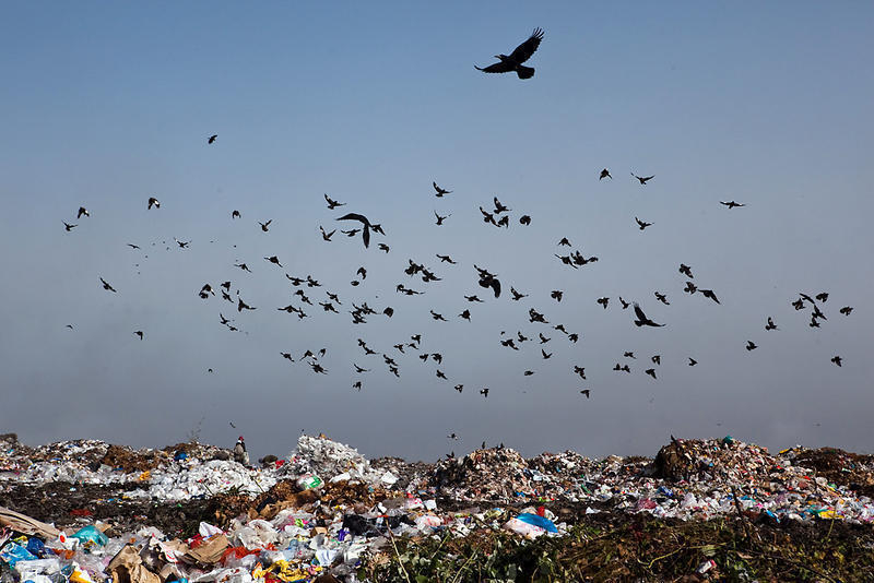 Безопасности полетов тамбовского аэропорта угрожает расположенный по соседству полигон отходов «КомЭк»