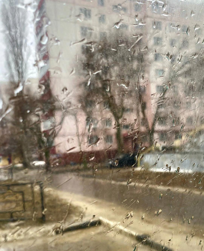 Рабочая неделя в Тамбове будет дождливой