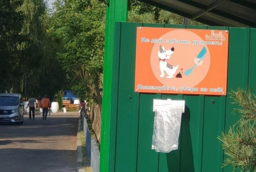 В Тамбове установили контейнеры для уборки за собаками