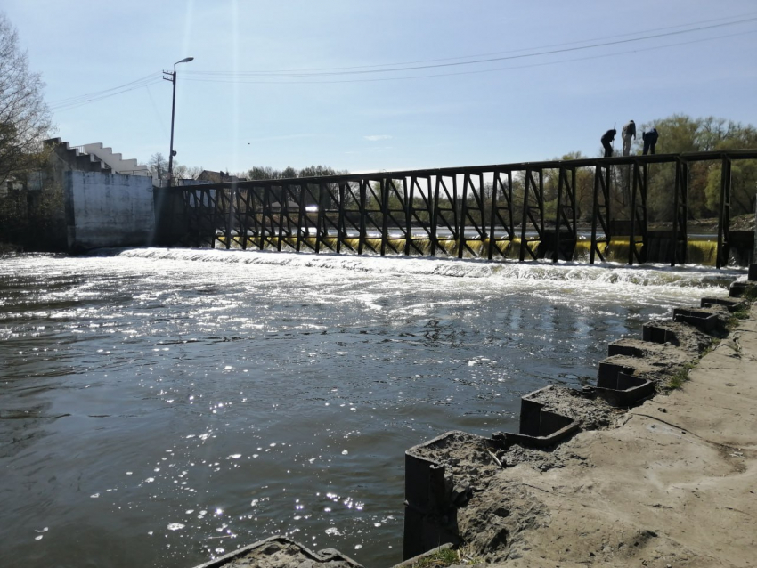 Контракт на капремонт моста-плотины в Пригородном лесу Тамбова расторгнут 