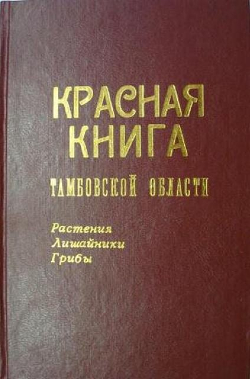 На переиздание Красной книги растений и грибов Тамбовской области потратят 1,5 млн рублей. 