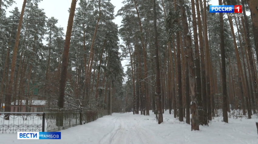 В Тамбовском районе возведут крупнейший в России семейный парк отдыха