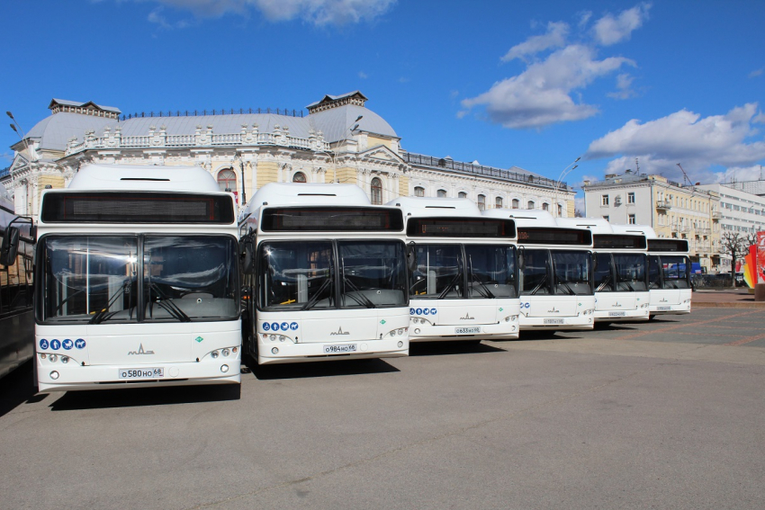 В Тамбове появятся новые автобусы и новые маршруты